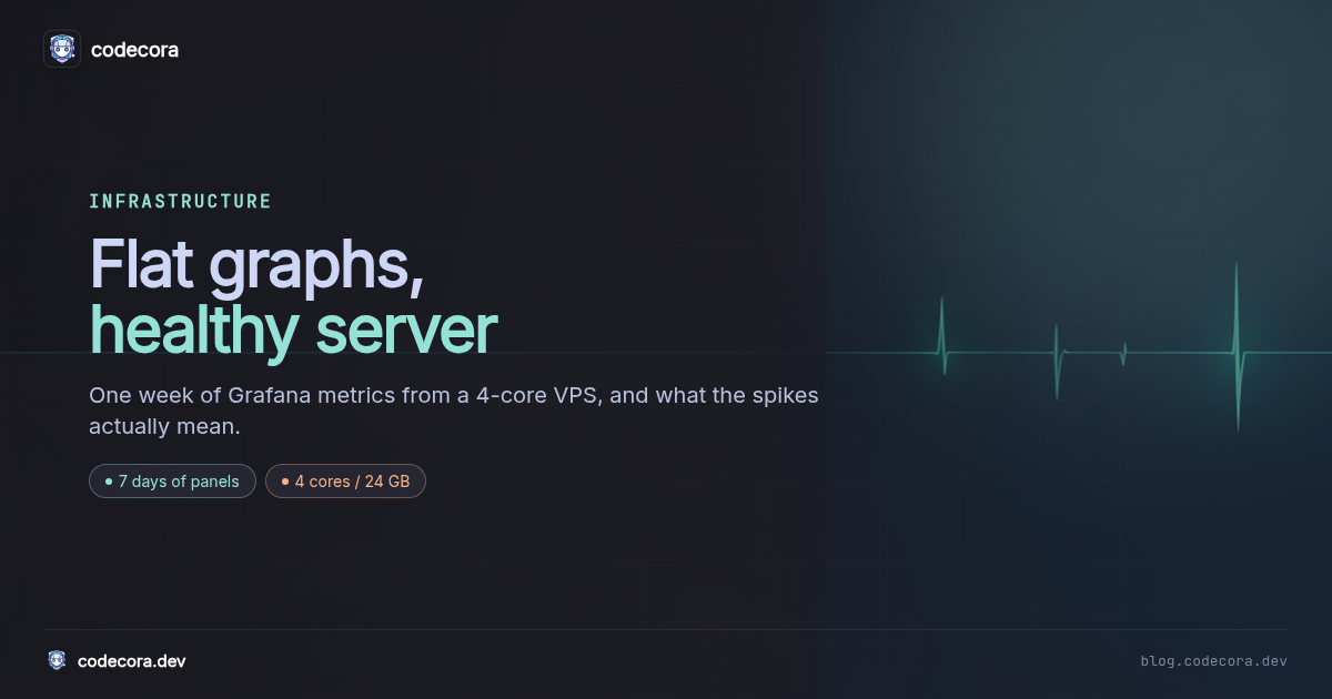 Flat Graphs, Healthy Server: One Week of VPS Metrics, Explained